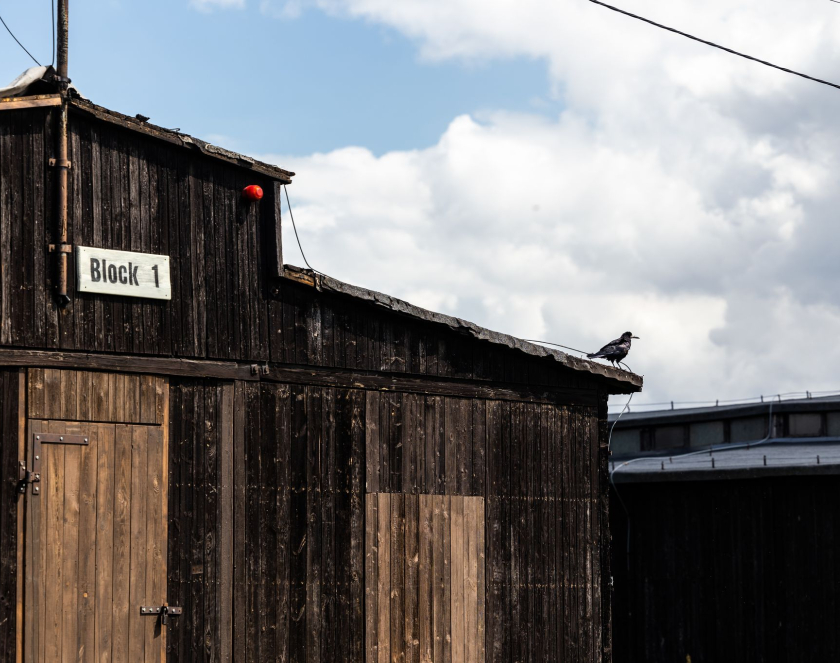 Drewniany barak z białą tabliczką z czarnym napisem: BLOK 1, na prawej kalenicy dachu widoczna wrona.