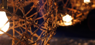 Fragment sfery z drutu kolczastego z żarówką w centrum, dookoła ciemność