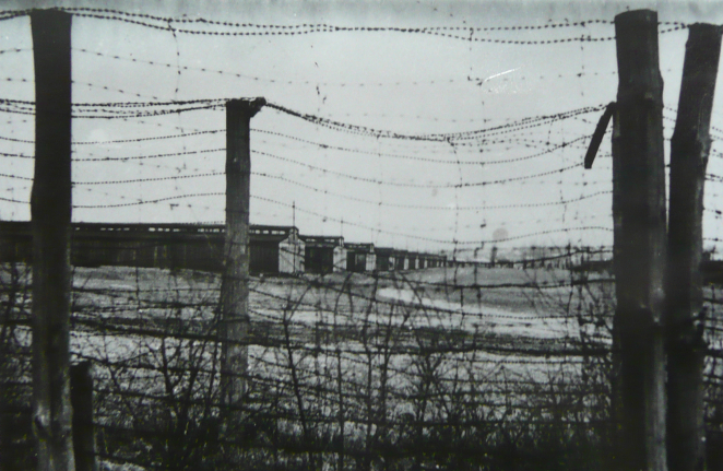 Teren obozu koncentracyjnego, na pierwszym planie podwójne ogrodzenie złożone z drutów kolczastych, na drugim rzędy drewnianych baraków