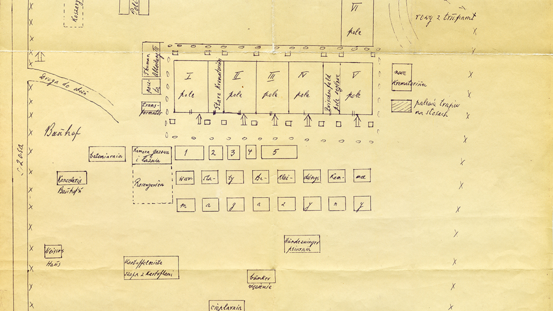 Rysunek czarną kreską na pożółkłym papierze przedstawiający plan obozu