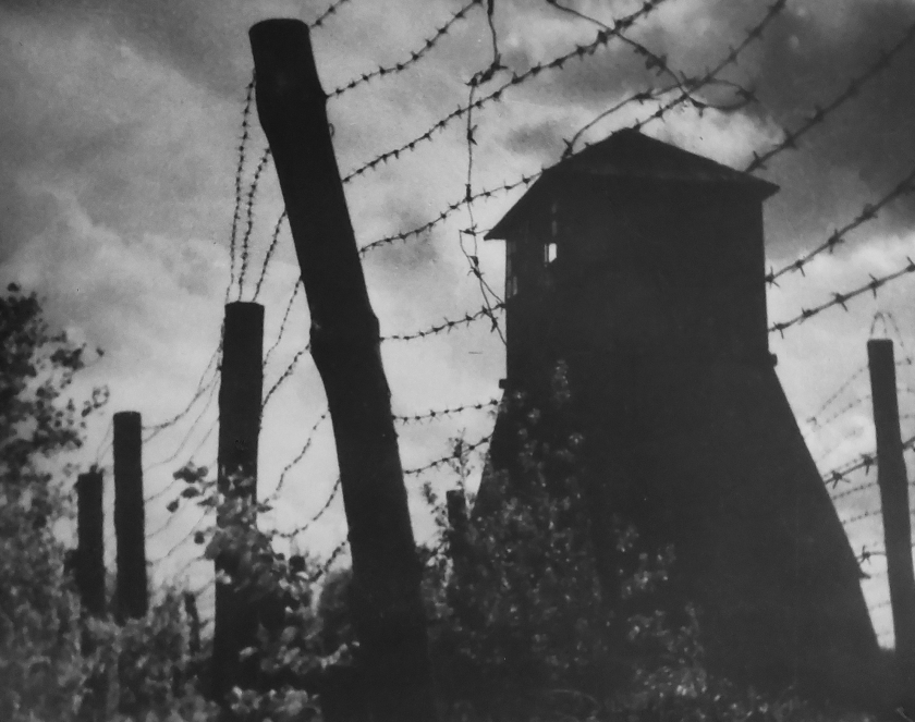 Czarno-białe zdjęcie. Poprzez druty kolczaste widać z prawej strony wieżę strażniczą. Z prawej strony liście 