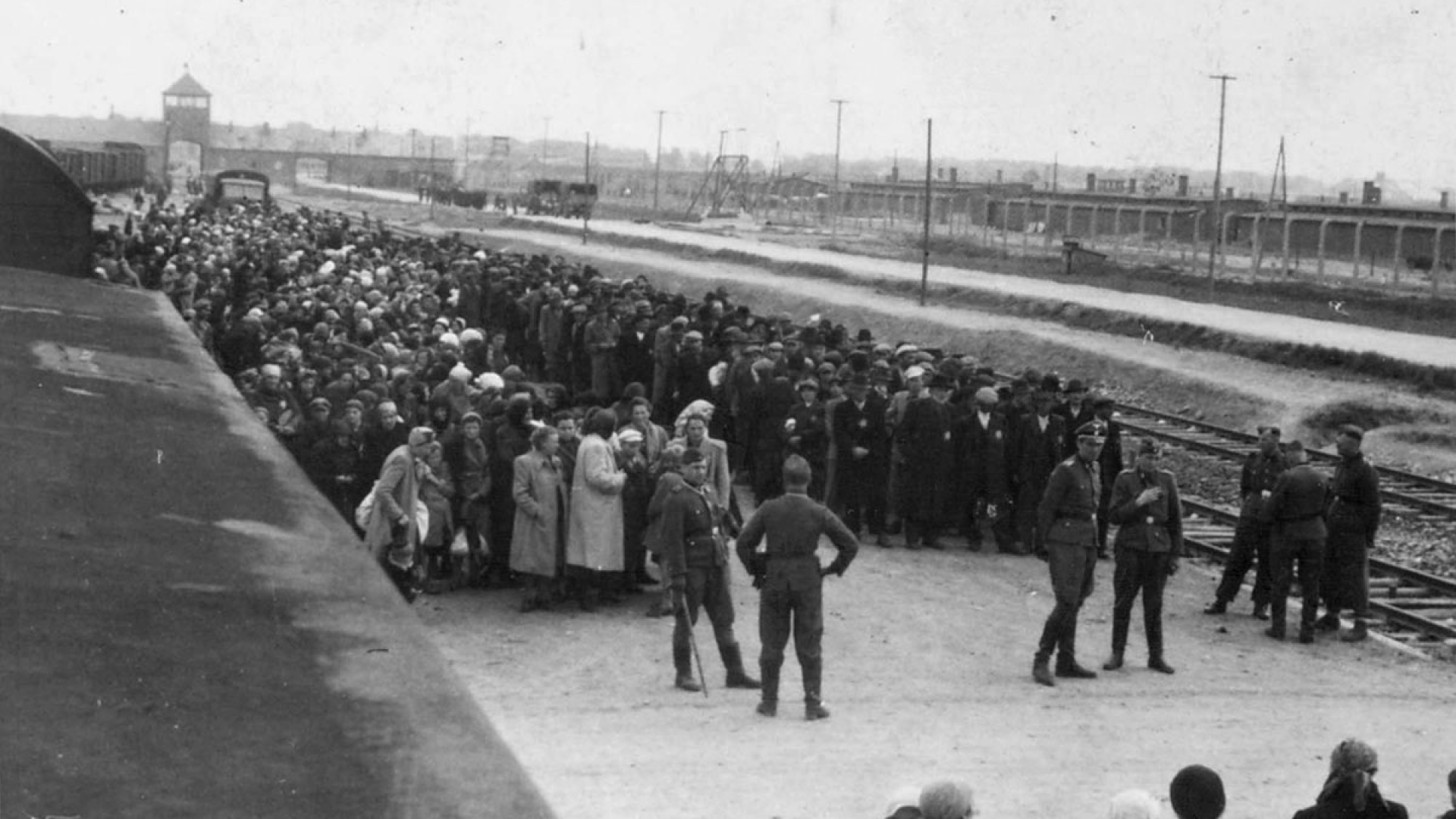 Czarno-białe zdjęcie, historyczne, duża grupa ludzi stoi na rampie kolejowej, obok pociąg, w tle brama Auschwitz