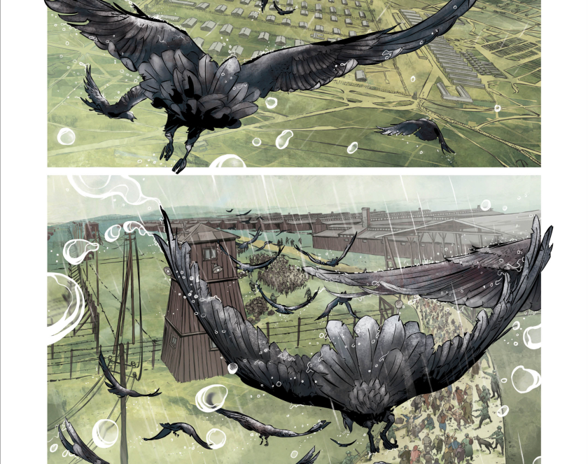 Dwa rysunki umieszczone jeden pod drugim przedstawiające lecące wrony, w tle obóz koncentracyjny