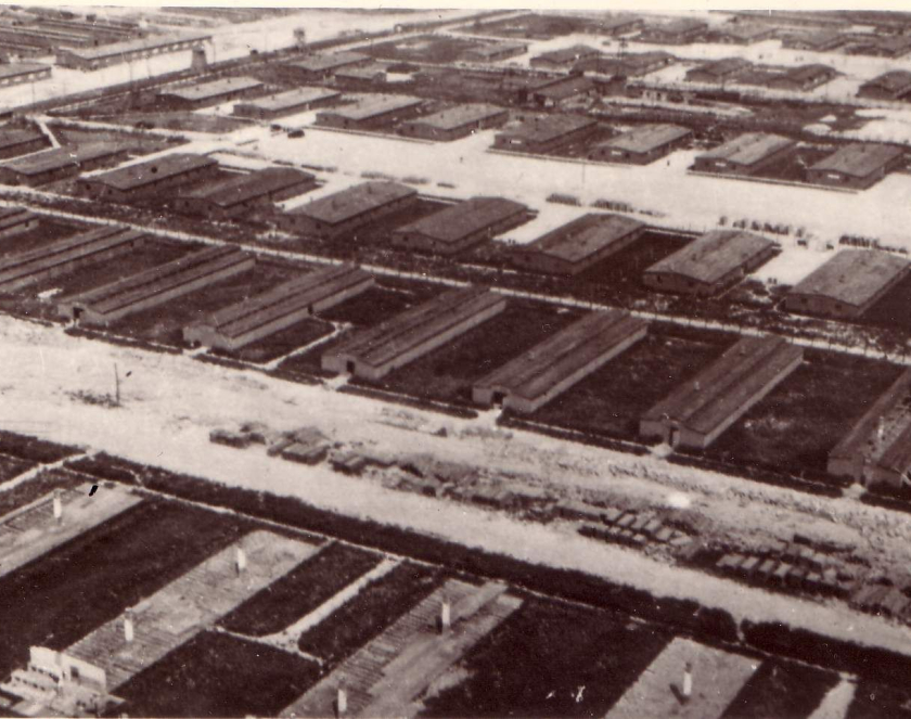 Widziane z lotu ptaka rzędy baraków