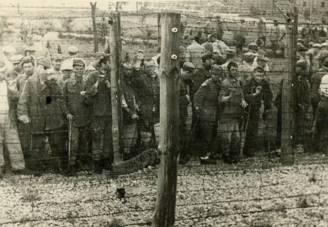 Ogrodzenie z drutu kolczastego, a za nim stłoczonych kilkudziesięciu mężczyzn