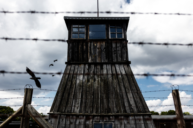 Wieża strażnicza od frontu, po lewej wrona w locie, na pierwszym planie druty kolczaste.