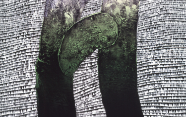 Nieokreślony kształt przypominający ludzki ząb 