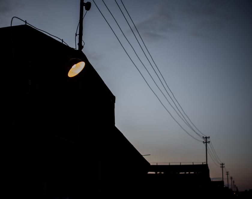 Bio(topo)grafie. Odkrywanie utraconego