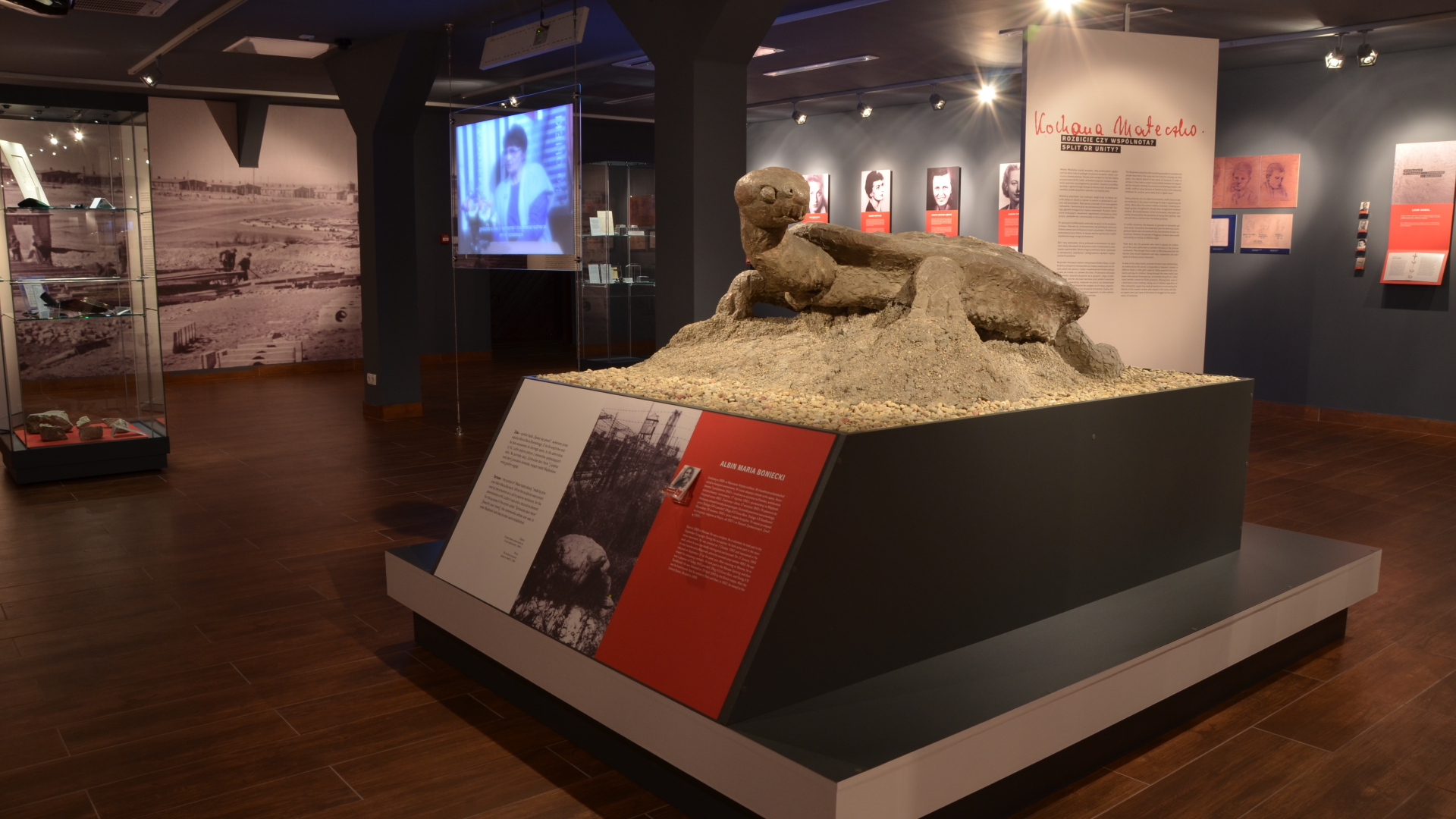 Widok na wystawę, na pierwszym planie rzeźba przedstawiająca żółwia na postumencie, w tle monitory, zdjęcia i plansze na ścianach, po lewej gablota