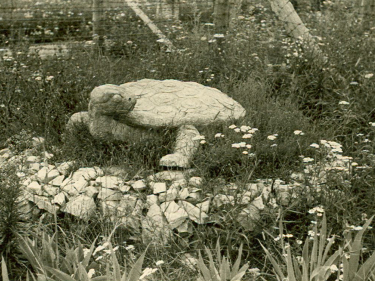 Zdjęcie rzeźby żółwia wykonanej z kamieni i cementu, która stoi na niskim cokole z kamieni. Dookoła wysoka trawa