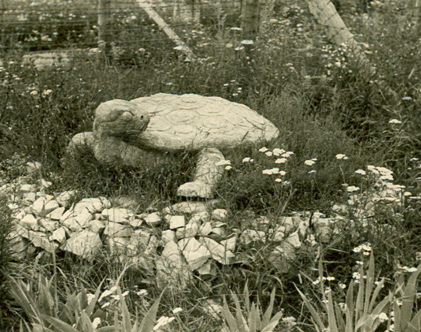 Zdjęcie rzeźby żółwia wykonanej z kamieni i cementu, która stoi na niskim cokole z kamieni. Dookoła wysoka trawa