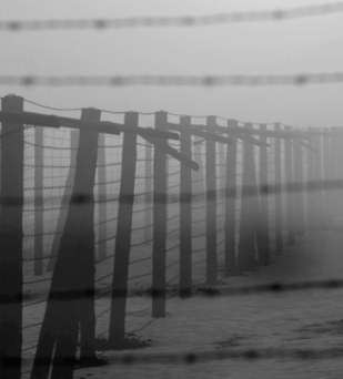 Ogrodzenia z drutem kolczastym, dookoła mgła 