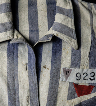 Marynarka męska, pasiak, naszyty numer 9230