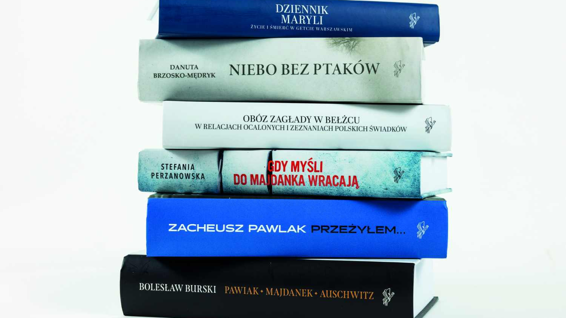 Zdjęcie grzbietów sześciu książek położonych na sobie