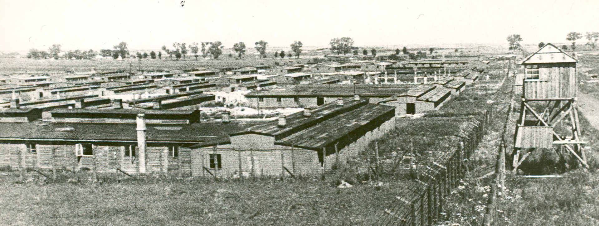Rzędy baraków więźniarskich, po lewej wieża wartownicza 