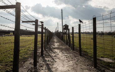 Ogrodzenie z drutu kolczastego z pionowych drewnianych beli, dwie wrony siedzące na przeciw siebie, w tle chmury i przebłyski promieni słonecznych, wieża wartownicza oraz dwa baraki więźniarskie 