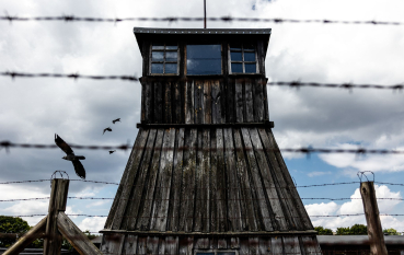 Drewniana wysoka wieża wartownicza, na pierwszym planie druty kolczaste, po lewej stronie lecące wrony 