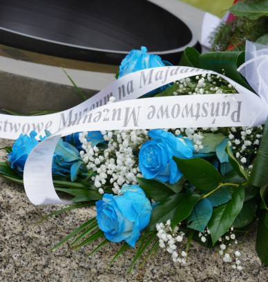 Niebieska róża na jasnym tle 